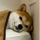 sleep
