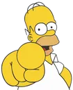 homer_point