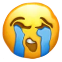 randomcursedcrying