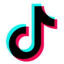 tiktok Discord emoji