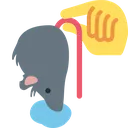 rat_wet