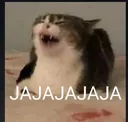 MichiRisa