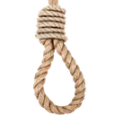 noose