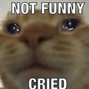 p2_notfunnycried Discord emoji