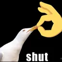 shut