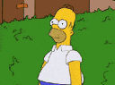 vgreenhomer