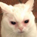 WHATTT Discord emoji