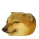 dog_burger