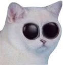 D2S_Z_What