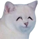 D2S_Z_Happy D2S_Z_Happy