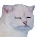 D2S_Z_Why