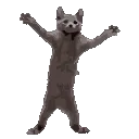 jpjp