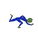 run