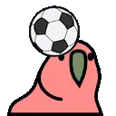 1593_headingparrot