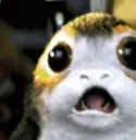 SurprisedPorg