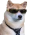 sunshibe
