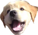smilepupper