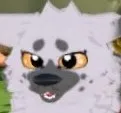 Durr