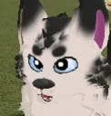 POG