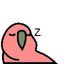 1085_sleepingparrot