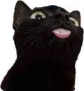 kitblep kitblep