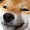 smuggo