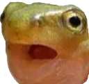 fromomg fromomg