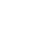 Polarislogo Discord Emoji