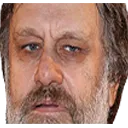 zizek