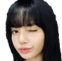 LisaWink LisaWink