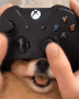 playDog Discord emoji