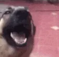 GetTheFuckOutaHere