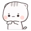 _shy