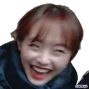 chuuohooo