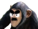 :risifurieux: risifurieux