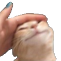 catpet Discord emoji
