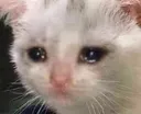 cri