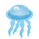 jellyfish