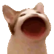 catPOP