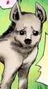 iwasuke