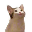 popcat