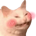 CatSmile