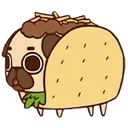 tacodog
