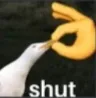 shut