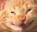 smilecat