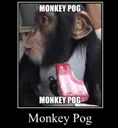 MonkyPog