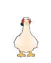 shubakechi shubakechi
