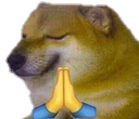 doge_amem Discord emoji