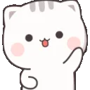 cutiecatwave