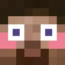 flush_steve